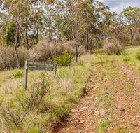 Old Mountain Road Walking Track