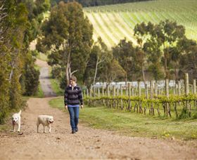 Willow Creek Vineyard - Port Augusta Accommodation 1