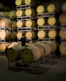Willow Creek Vineyard - Port Augusta Accommodation 2