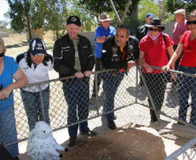 Fossil Rock - Port Augusta Accommodation 0
