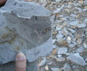 Fossil Rock - Port Augusta Accommodation 1