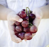 Granitevale  Estate Winery - Port Augusta Accommodation