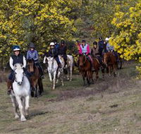 Burnelee Excursions on Horseback - Port Augusta Accommodation