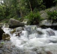 Washpool National Park