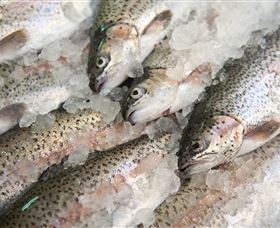 Arc-en-Ciel Trout Farm - Port Augusta Accommodation 3