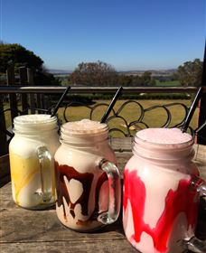 Hollydene Estate Wines And Vines Restaurant - Port Augusta Accommodation 6
