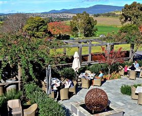Hollydene Estate Wines And Vines Restaurant - Port Augusta Accommodation 8