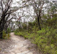 Six Foot walking track