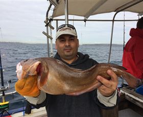 Deep Sea Fishing Charter - Port Augusta Accommodation 5