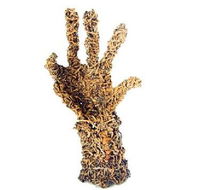 Coo-ee Aboriginal Art Gallery - Port Augusta Accommodation