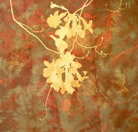 Fellia Melas Gallery - Port Augusta Accommodation