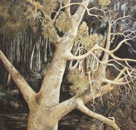 Ku-Ring-Gai Art Centre  Gallery - Port Augusta Accommodation