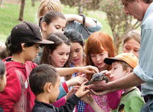 Blackbutt Reserve - Port Augusta Accommodation 2