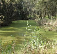 Second Ponds Creek walk - Port Augusta Accommodation