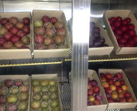 Canoelands Orchard - Port Augusta Accommodation 1