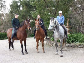 Academy Of Dressage - Port Augusta Accommodation 0
