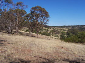 Onkaparinga River National Park - Port Augusta Accommodation 0