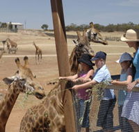 Monarto Open Range Zoo - Port Augusta Accommodation