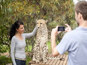 Monarto Open Range Zoo - Port Augusta Accommodation 1