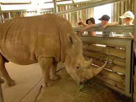 Monarto Open Range Zoo - Port Augusta Accommodation 2