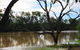 Allan Tannock Weir - thumb 3
