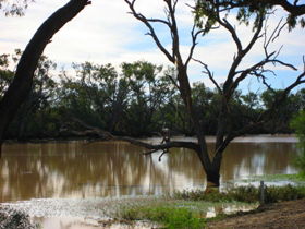 Allan Tannock Weir - Port Augusta Accommodation 3