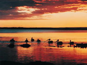 Coorong National Park - Port Augusta Accommodation 1