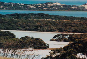 Coorong National Park - Port Augusta Accommodation 2
