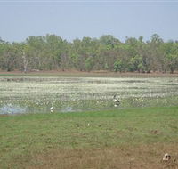 Leaning Tree Lagoon Nature Park - Port Augusta Accommodation