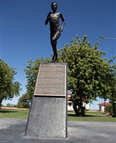Railway Park Dirranbandi - Port Augusta Accommodation 1