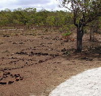 Wurrwurrwuy Garanhan Macassan Beach Interpretive Walk - Port Augusta Accommodation