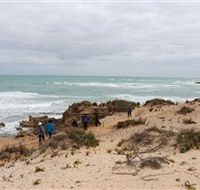 The Seaview Walking Trail - Port Augusta Accommodation