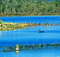 Hasties Swamp National Park - Port Augusta Accommodation