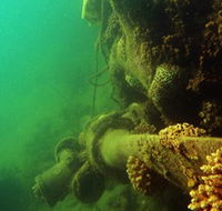 Wreck Diving at Magnetic Island - Port Augusta Accommodation