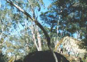 Dergholm VIC Port Augusta Accommodation
