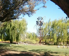 Simply Tomatoes - Port Augusta Accommodation 7