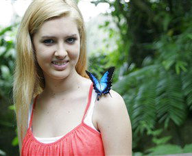 Australian Butterfly Sanctuary - Port Augusta Accommodation 0