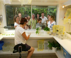 Australian Butterfly Sanctuary - Port Augusta Accommodation 3