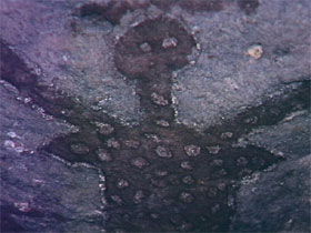 Quinkan Reserves Ancient Rock Art - Port Augusta Accommodation 0