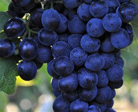 De Bortoli Wines Bilbul - Port Augusta Accommodation 0