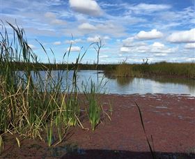 Gwydir Wetlands - Port Augusta Accommodation 0