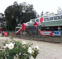 The Big Strawberry