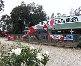 The Big Strawberry - Port Augusta Accommodation 0