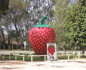 The Big Strawberry - Port Augusta Accommodation 1