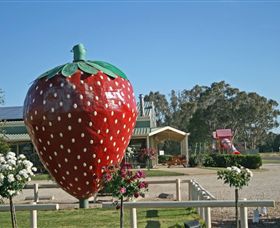 The Big Strawberry - Port Augusta Accommodation 2