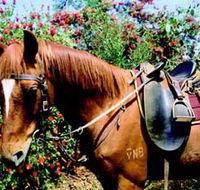 Western Plains Riding Centre - Port Augusta Accommodation
