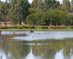 Tatura VIC Port Augusta Accommodation