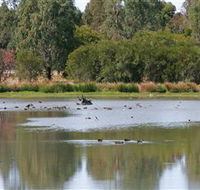 Cussen Park - Port Augusta Accommodation