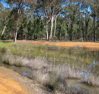 Beni State Conservation Area - Port Augusta Accommodation