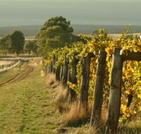 Captains Creek Organic Wines - Port Augusta Accommodation